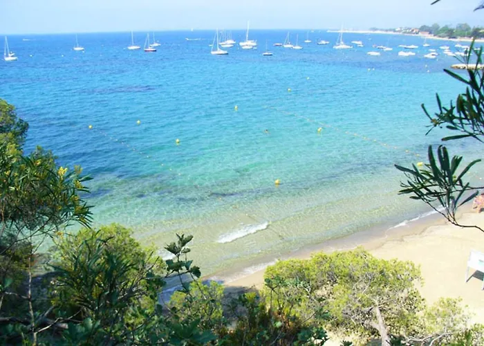 Mazet - A 300m De La / Terrasse / Wifi / La Conciergerie Varoise